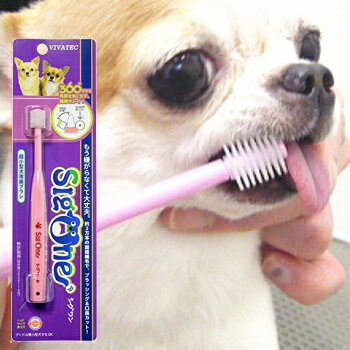 シグワン 超小型犬用 歯ブラシ ピン