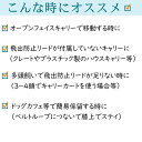 スキップドッグ 首輪留め ミニリード 飛び出し防止 簡易係留 首輪止め チワワ 小型犬 犬 ペット プードル リード キャリーつなぎ 子犬 どびだし 防止 キャリーバッグ ペットキャリー 短い 小さい お出かけ 散歩 スリング 可愛い おしゃれ 細い ペット用品 ペットグッズ 3