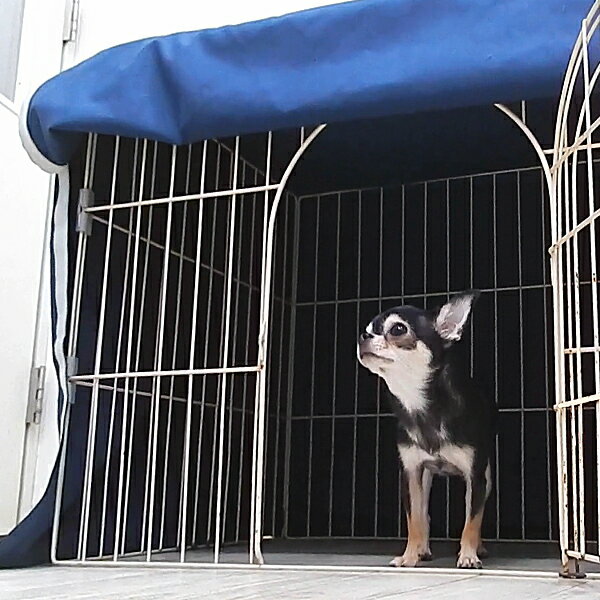 SkipDog! サークルカバー チワワ 小型犬 犬 ゲージカバー ケージカバー ケージ ゲージ インテリア ハウス 保温 風避け サークル ペット ドッグ 飼育用品 目隠し 90x60