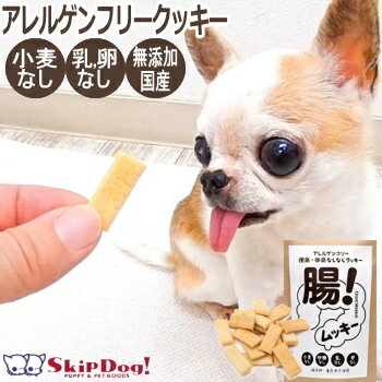 犬 おやつ 腸ムッキー アレルゲンフリー クッキー 便