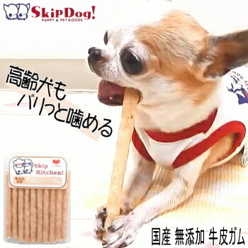 犬 おやつ 国産 無添加 スキップキッチン デンタル スティック ガム 10本 チワワ ペット 牛皮 パピー プレゼント 小型犬 オヤツ ハミガキ 歯磨き デンタルケア 甘噛み 噛む ストレス 解消 ペットグッズ ペット用 ペット用品 ごほうび しつけ