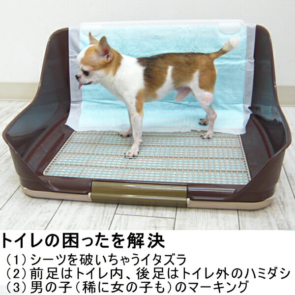 ウォールトイレトレー Sサイズ ウォールトレー チワワ 犬 トイレ はみ出し 囲い ペットトイレ 犬のトイレ 犬トイレ 壁 マーキング ペット トイレトレー 飛び散り 防止 トイレマット トイレ本体 トイレ容器 オス 足上げ イタズラ防止 おしっこ メッシュ トイレフレーム