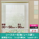 シースルー生地 超薄型スリム ロールスクリーン （ソレイユ Soleil）横幅30〜50cm　×　高さ【90cm固定】ホワイト ロールカーテン NAPCO ナプコ 透け感 レース レースカーテン 防炎　日本製 アイボリー ベージュ グリーン 賃貸 カーテンレール つっぱり棒