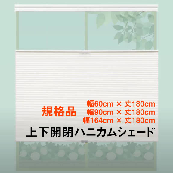 Rakuten - （コードレス） 上下開閉可能 トップダウン ハニカム シェード 採光 規格品