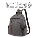 Keranixy ミニリュック リュック 小さめ バックパック デイパック 軽量 キャンバス 防水 大容量 20L 3WAY 多機能 12.9インチ iPad ...