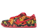NIKE SB DUNK LOW PRO WOO QS "THE WIZARD OF OZ"GYM RED/UNIVERSITY RED-MULTI FZ1291-600ナイキ スケートボーディング ダンク ロー プロ クイックストライク "オズの魔法使い" ジムレッド/マルチ