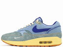 NIKE AIR MAX 1 PREMIUM DV3050-300ナイキ エア マックス 1 プレミアム