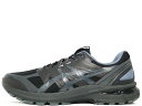 ASICS GEL-TERRAIN 1203A745-020アシックス ゲル テレイン "SAN SAN GEAR" ファントム/ムーン ミスト"SAN SAN GEAR"PHANTOM/MOON MIST