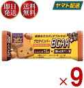 ブルボン プロテインバー BCAA+ キャラメルクッキー プロテイン キャラメル クッキー タンパク質 9個