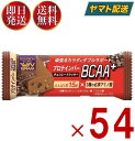 ブルボン プロテインバー BCAA+ チョコレートクッキー プロテイン チョコレート クッキー タンパク質 54個