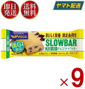 ブルボン スローバー チョコバナナ クッキー 41g ウィングラム WINGRAM チョコバナナクッキー 9個