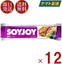 ソイジョイ 3種のレーズン ダイエット おやつ soyjoy 大塚製薬 まとめ買い 12本セット