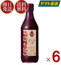 内堀醸造 フルーツビネガー ざくろの酢 360ml 果実酢 ざくろ酢 健康酢 酢 うちぼり 内堀 6個