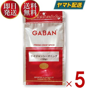 GABAN ギャバン スパイス ケイジャンシーズニング 100g 5個セット ミックススパイス ハウス食品 香辛料 パウダー 業務用