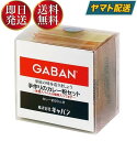 GABAN ギャバン 手作りカレー粉 スパイス 手作りのカレー粉セット 100g カレーペースト 食塩無添加 カレーライス 香辛料 調味料 減塩 塩分控えめ