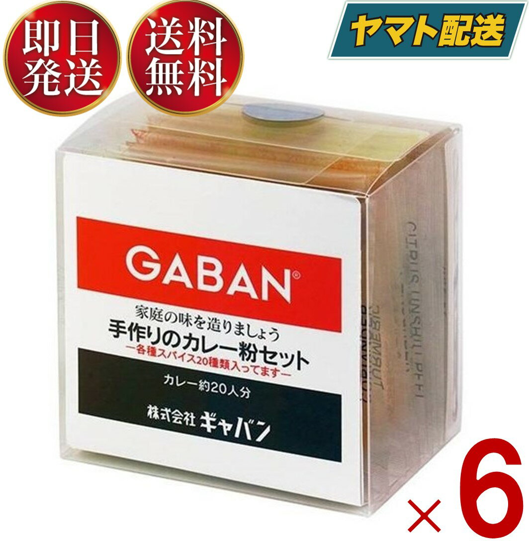 【15日限定！抽選で最大全額ポイントバック】 GABAN ギャバン 手作りカレー粉 スパイス 手作りのカレー粉セット 100g 6個 カレーペースト 食塩無添加 カレーライス 香辛料 調味料 減塩 塩分控えめ