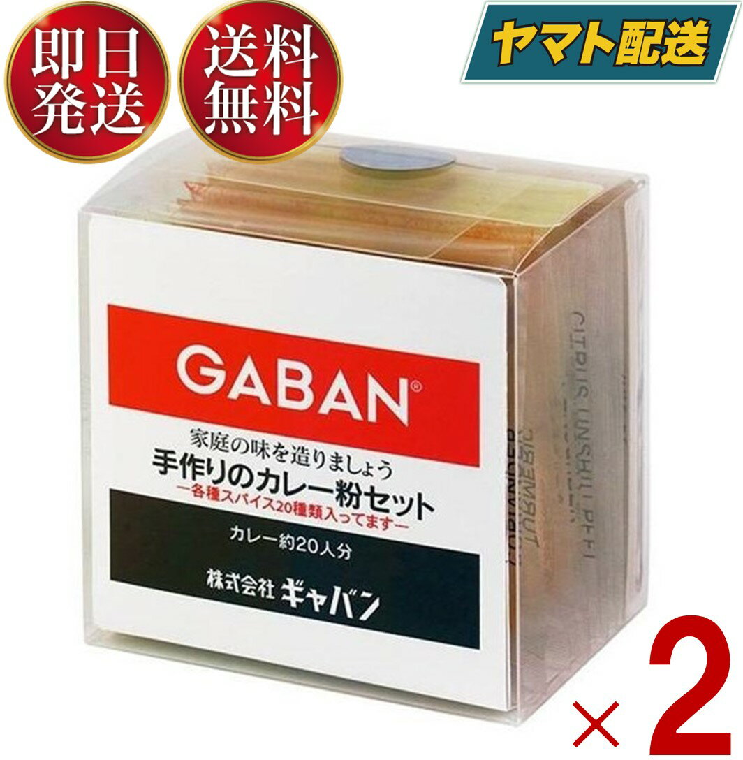 GABAN ギャバン 手作りカレー粉 スパイス 手作りのカレー粉セット 100g 2個 カレーペースト 食塩無添加 カレーライス 香辛料 調味料 減塩 塩分控えめ