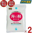 【スパセ限定最大300%ポイントバック】 塩 粗塩 あら塩 海の精 あらしお 500g 2個