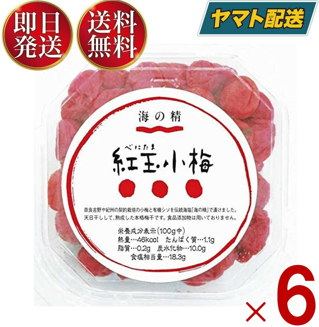 海の精 紅玉小梅 120g 小梅 梅干し 無添加 うめぼし 梅干 6個