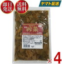 桃屋 味付ザーサイ 500g 桃光 業務用 味付き ざあさい 搾菜 4個