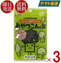 前島食品 昆布 おやつこんぶ おやつ こんぶ おつまみ 珍味 北海道産昆布使用 8g 3個