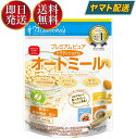 日食 プレミアムピュア トラディショナル オートミール 340g 糖質ひかえめ オーツ麦100％ 食物繊維 鉄分