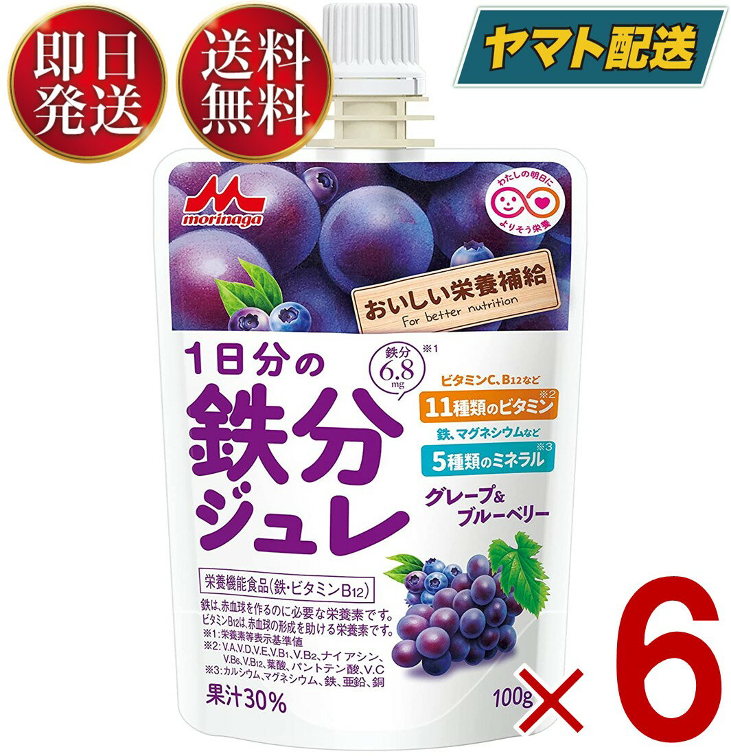 【15日限定！抽選で最大全額ポイントバック】 森永乳業 1日分の鉄分ジュレ グレープ ＆ ブルーベリー 100g パウチ 鉄…