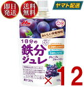 森永乳業 1日分の鉄分ジュレ グレープ ＆ ブルーベリー 100g パウチ 鉄分 ジュレ 果実 ゼリー飲料 鉄分 フルーツ ベリー 12個