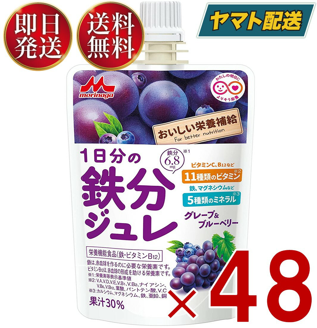 森永乳業 1日分の鉄分ジュレ グレープ ＆ ブルーベリー 100g パウチ 鉄分 ジュレ 果実 ゼリー飲料 鉄分 フルーツ ベリー 48個