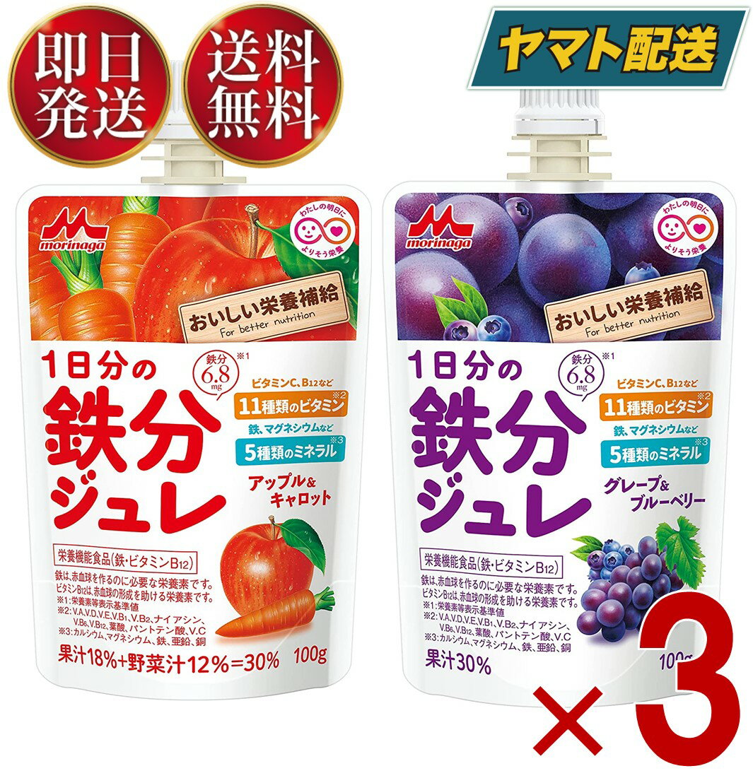 森永乳業 1日分の鉄分ジュレ グレープ ＆ ブルーベリー , アップル ＆ キャロット 2種 アソート セット 100g パウチ 鉄分 ジュレ 果実 ゼリー飲料 鉄分 3個