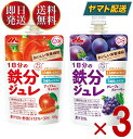 森永乳業 1日分の鉄分ジュレ グレープ ＆ ブルーベリー , アップル ＆ キャロット 2種 アソート セット 100g パウチ …