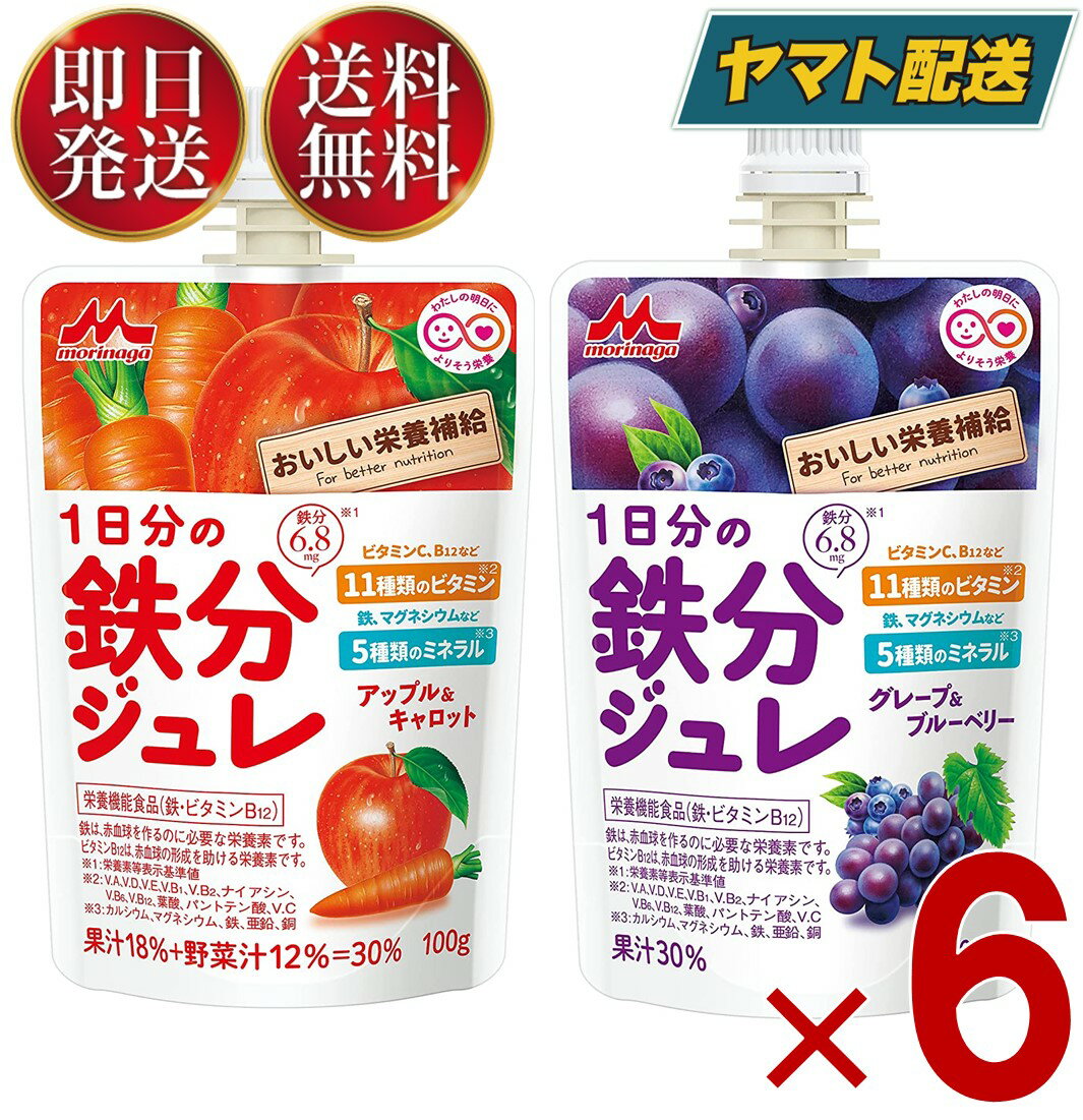 【1日限定！抽選で最大全額ポイントバック】 森永乳業 1日分の鉄分ジュレ グレープ ＆ ブルーベリー , アップル ＆ キャロット 2種 アソート セット 100g パウチ 鉄分 ジュレ 果実 ゼリー飲料 鉄分 6個のサムネイル