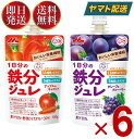 森永乳業 1日分の鉄分ジュレ グレープ ＆ ブルーベリー , アップル ＆ キャロット 2種 アソート セット 100g パウチ …