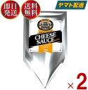 【10日限定！抽選で最大全額ポイントバック】 ハインツ チーズソース レッドチェダー 300g HEINZ チーズ ソース 2個