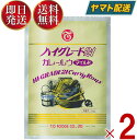 テーオー食品 ハイグレード21 カレールウ マイルド 1kg 約50皿分 スパイシー 辛い カレー ルー テーオー 2個