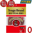 テング ビーフジャーキー レギュラー 150g おつまみ 天狗 送料無料 ビール プロテイン キャンプ お土産 日本酒 お酒 10個