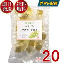 土筆屋 シャインマスカット 寒天 240g マスカット かんてん 和菓子 おやつ カンテン 食物繊維 20個