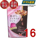 東洋ナッツ TON'S トン 焦がしキャラメルナッツ アーモンド 105g 焦がし キャラメル ナッツ 個包装 16個(4)