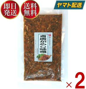 青唐がらし味噌 青唐辛子味噌 青唐辛子 味噌 250g 2個 業務用 ご飯のお供 お酒 つまみ 馬場音一商店