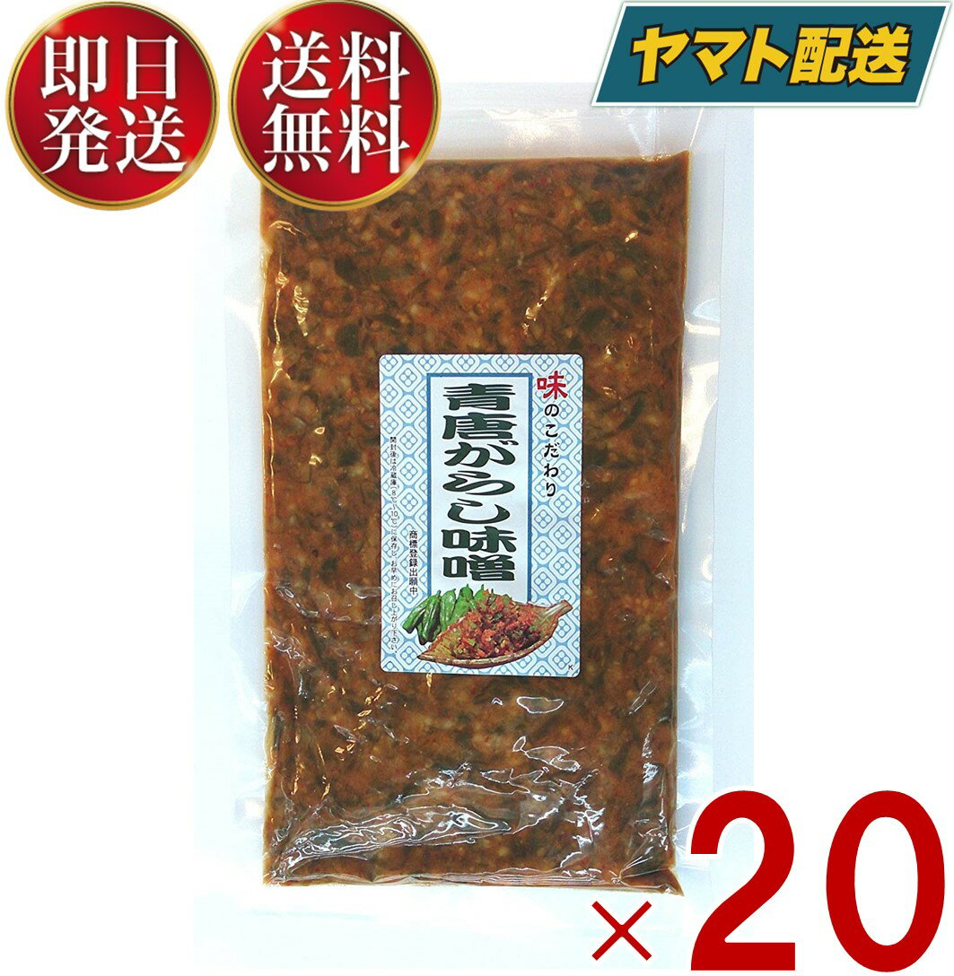 青唐がらし味噌 青唐辛子味噌 青唐辛子 味噌 250g 20個 業務用 ご飯のお供 お酒 つまみ 馬場音一商店