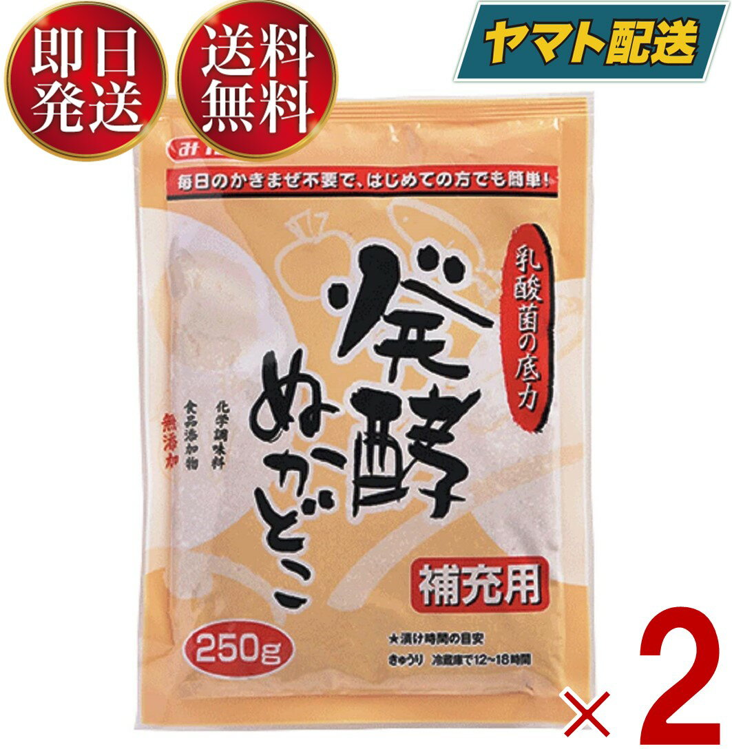 みたけ みたけ食品 発酵ぬかどこ 発酵 ぬかどこ ぬか漬け ぬか床 簡単 冷蔵庫 ぬか床 補充用 250g 2袋