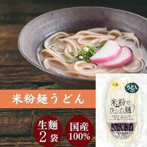 グルテンフリー うどん 米粉 麺 米屋 1食130g 小麦粉不使用 名古屋食糧 麺のみ 2個