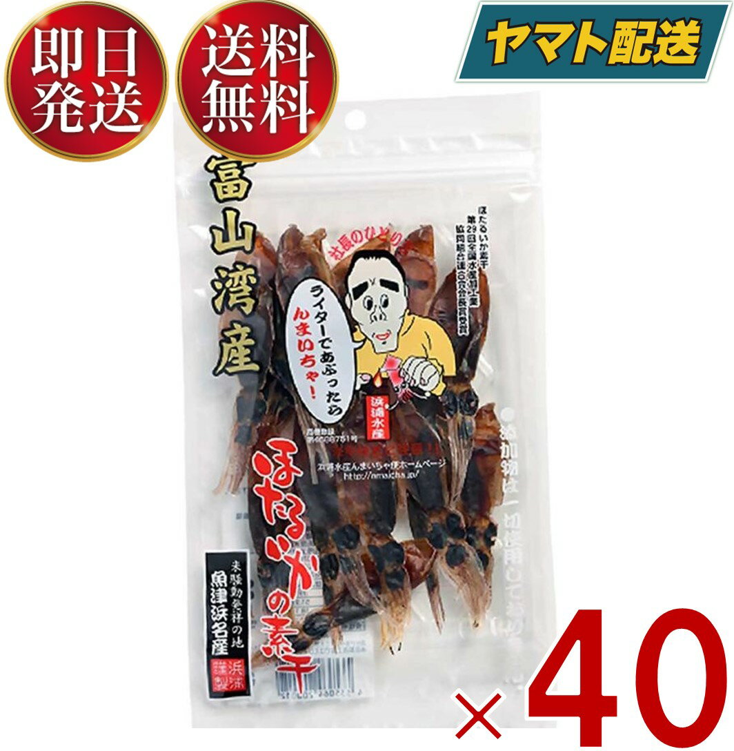 1ꡪǺ1ݥȥХå ͱ建 ۤ뤤 Ǵ ٻ ۥ륤Ǵ Ĥޤ ̣ ̵ź ۥ륤 25g 40