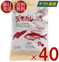 無添加 天然だしパック マエカワ テイスト 特撰 国産 出汁パック だし 250g （10g×25P） 40個