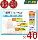 BMC フィットマスク レギュラー 60枚入 1日使い切りタイプ ビーエムシー ふつうサイズ 不織布マスク 耳が痛くなりにくい 40個(4)