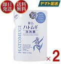 熊野油脂 麗白 ハトムギ泡洗顔 詰替用 詰替え 詰め替え 150ml 保湿 ハトムギエキス ヒアルロン酸 泡で出てくる 2個