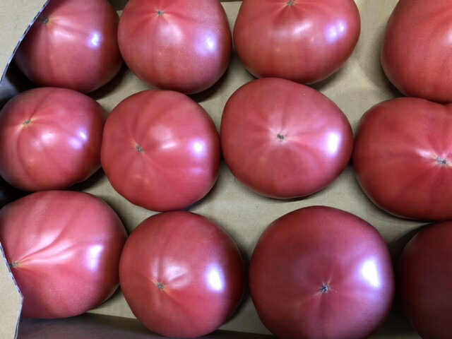 国内で生産されたトマトを、お届けします。 その時期の旬の栽培地の物を選んでいる為、生産地の指定はできません。 ご理解ください。 サイズ　M 入り数　24個
