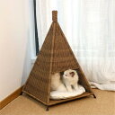 【★10%OFFクーポン配布中!♪03/30 23:59終了!】猫 爪とぎ 猫爪とぎハウス 猫用爪とぎ 猫ハウス ねこハウス 猫タワー キャットハウス 猫ハウス...