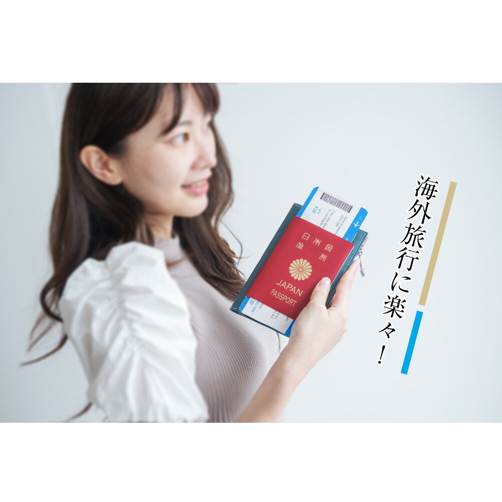 スキミング防止加工が施されたパスポートケース！航空券 ケース PASSPORT WALLET 本革 パスポート 財布 旅行 パスポートカバー マルチケース トラベル カバー シンプル レザー 牛革 新生活 プレゼント ギフト ネコポス 送料無料 bag-pb102