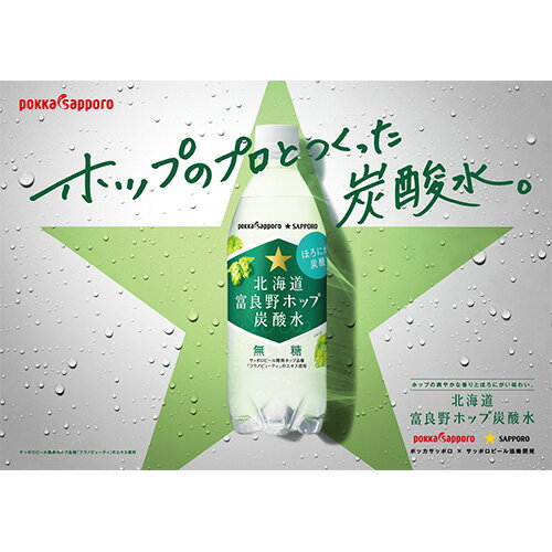 【 送料無料 】ポッカサッポロ 富良野ホップ 500ml 24本×2箱（計48本）北海道 富良野ホップ炭酸水 富良野 炭酸水 炭酸飲料 ソーダ